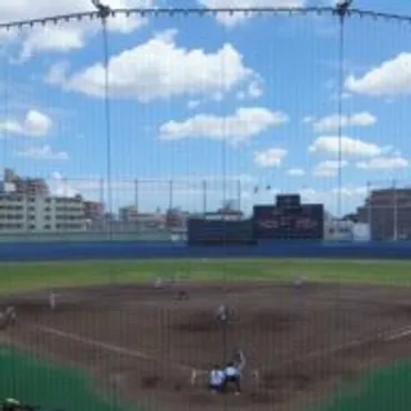 やっぱり野球が好きだった！｜中日ドラゴンズ・プロ野球選手の本