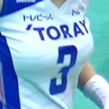 Volleyball players like it!　女子バレーボール選手のまとめブログ　วอลเลย์บอลหญิงสรุป Blog