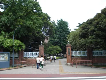 大学