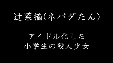 佐世保小6殺害事件