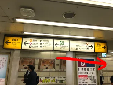 渋谷