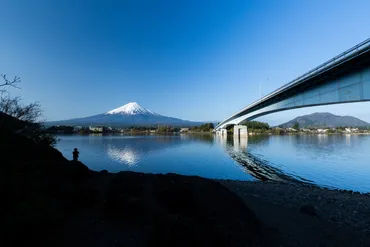 山本雅道