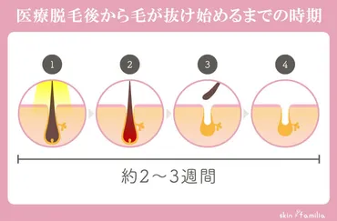 仕組み