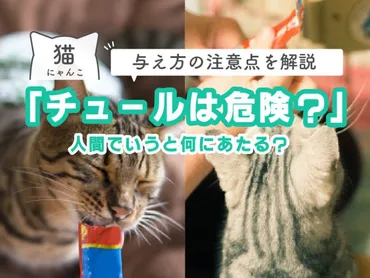 猫にチュールは危険？人間でいうと何にあたる？与え方の注意点を解説