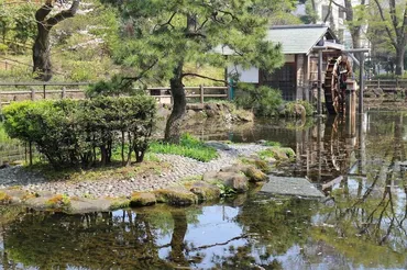 鍋島松濤公園（東京都渋谷区）