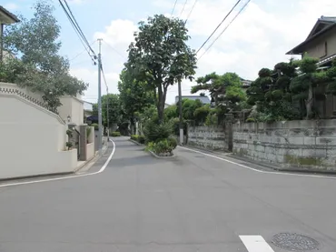 東の田園調布」板橋区常盤台 曲線が美しい街並み 