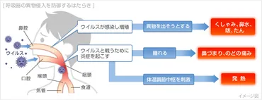 風邪（かぜ）の症状・原因