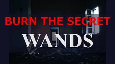 WANDS 『BURN THE SECRET』 