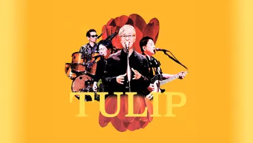 TULIP 50周年記念ツアー 特設サイト