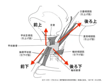 RADWIMPS 野田洋次郎の発声・歌い方をプロが解説【音声付き】