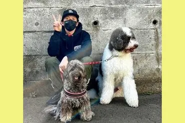 木村拓哉さんの愛犬たち！一体どんな種類？愛犬との生活とは！？