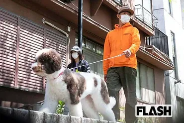 木村拓哉のインスタが「犬アカ」化と話題…忙しくても散歩姿は連投