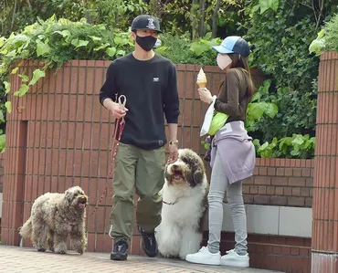 木村拓哉と工藤静香夫妻の愛犬の種類は?お散歩コースはどこ?