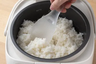 ストレスゼロ!びっくりするほどお米がくっつかない!マーナの「極しゃもじ プレミアム」【これHIT通信】