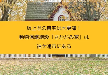 坂上忍の千葉県木更津市豪邸って実際どうなの？愛犬愛猫と過ごす理想の空間とは！？