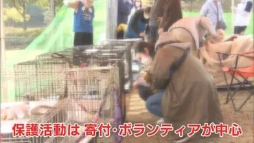 犬猫の「販売やめませんか」…坂上忍さんが目指す寄付頼みの動物保護改革 保護ハウス゛さかがみ家゛が描く未来