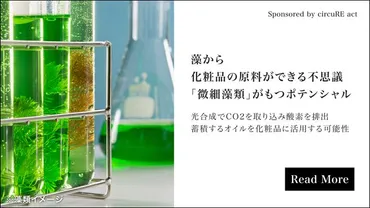 太陽光を活用した調理法「ソーラークッキング」 災害時のメリットとは