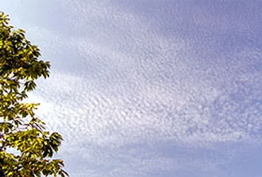 うろこ雲は一体何？秋の空に広がる美しい雲の正体とは？秋の空に広がるうろこ雲…実は奥深い！