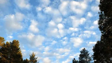 秋の雲の種類と特徴！すじ雲やうろこ雲、いわし雲の違いを写真付きで紹介 