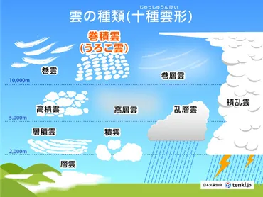 うろこ雲はなぜできる？雲の見分け方とこの先の天気を読む方法(季節・暮らしの話題 2023年12月29日) 