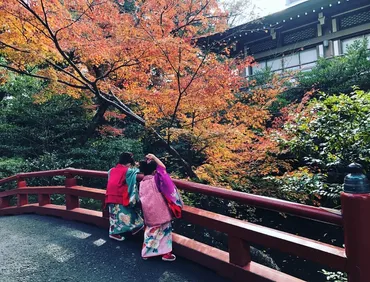 双子を授かった芸能人が意外と多かった件について【東原亜希・郷ひろみ など】 