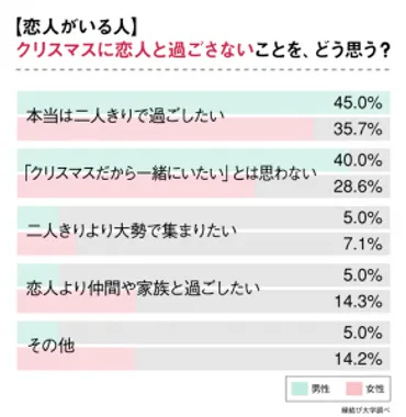 恋人達のクリスマス」という考え方はもう古い？今年のクリスマスの過ごし方【恋人がいる人編】 