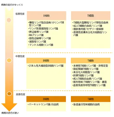 血液専門医が解説】悪性リンパ腫の症状・診断・治療 