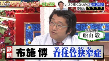 布施博、現在(2024)老けた？また、足の病気が深刻すぎるとの噂も・・・※画像あり 