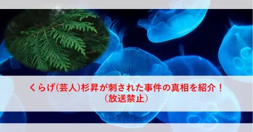 くらげ(芸人)杉昇が刺された事件の真相を紹介！（放送禁止）