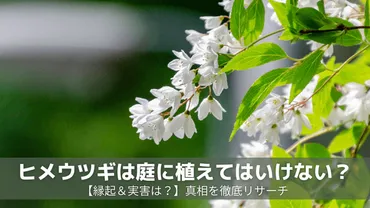 ヒメウツギは庭に植えてはいけない？【縁起＆実害は？】真相を徹底リサーチ