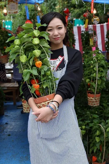 四万六千日の縁日で、ほおずきを売る女性たち（浅草寺） : 旅プラスの日記