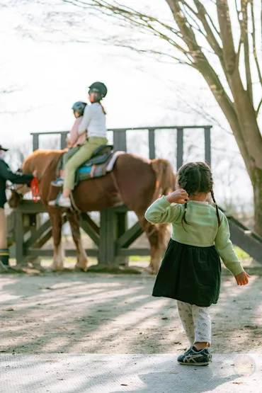 NASU FARM VILLAGEで引き馬コースやふれあい体験を満喫。子どもたちは大喜び 