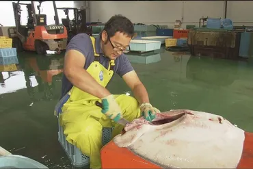 長谷川大樹～お魚コンシェルジュが世界に伝える魚の魅力。 