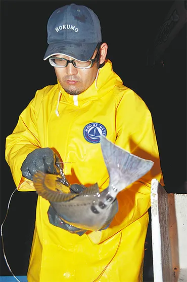 お魚コンシェルジュ 「魚通じ感動届けたい」 （株）さかな人代表長谷川 大樹 Hiroki Hasegawa（40歳・逗子市小坪在住） 