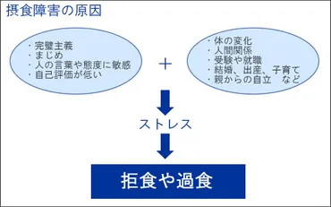 摂食障害／拒食症と過食症