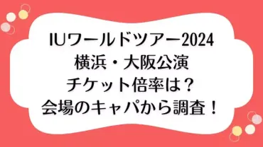 IUワールドツアーのチケット倍率は？コンサート会場のキャパから調査！ 