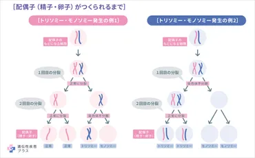 ダウン症候群ってどんな病気？ダウン症候群とは！？