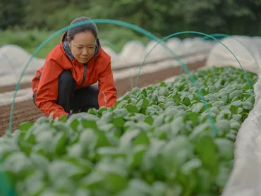 有機野菜農家 田中千春さん