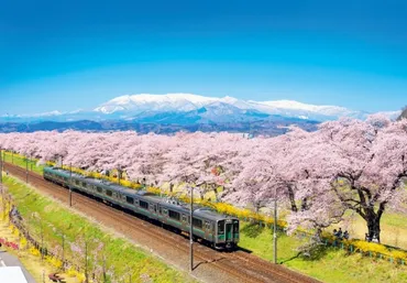 船岡城址公園と白石川堤 一目千本桜の魅力！?東北屈指の桜の名所とは!!?