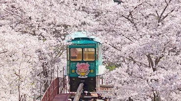 さくら名所100選】宮城・白石川堤／船岡城址公園 