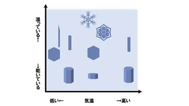 雪の種類って、実はこんなに違う！？積雪への影響も明らかに雪の多様性とは！？