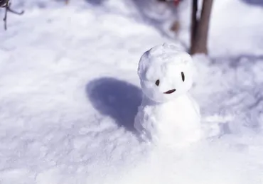 雪の名前と異称、冬の風情を楽しむ雪の表現・名称と意味100選 暮らしの歳時記 All About