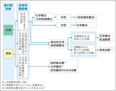 食道がん 治療：国立がん研究センター がん情報サービス 一般の方へ