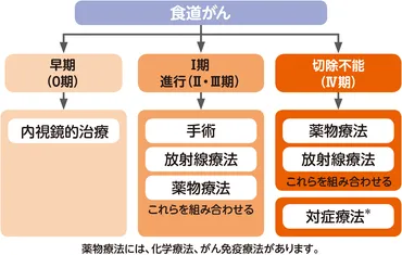 食道がんの治療法とは？ 