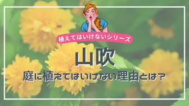 山吹を庭に植えてはいけない理由・デメリット3選😱【メリットも5つ解説】