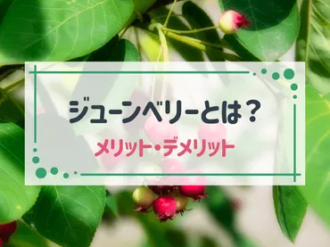 ジューンベリーを植えるのはあり？  庭に植える際の注意点とは？ジューンベリーの魅力と注意点とは!!?