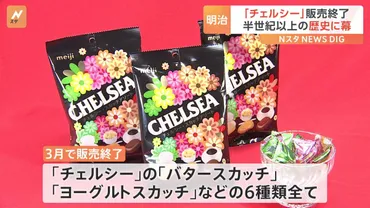 明治「チェルシー」が3月で販売終了へ 「販売規模の低迷により収益性が悪化したため」 