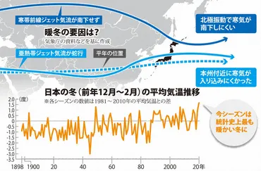 暖冬ってホントに地球に悪影響なの？温暖化による日本の冬の変化とは！？