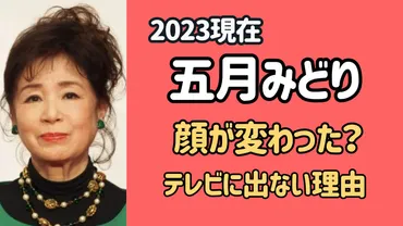 五月みどりの2023現在は顔が違う？テレビに出なくなった本当の理由は？ 