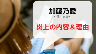 加藤乃愛(徳川家康)の炎上理由はコムドットとコラボ＆マスクなし？可哀想という声も│あいのーと